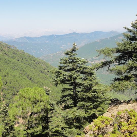 Paraje natural de Los Reales de Sierra Bermeja