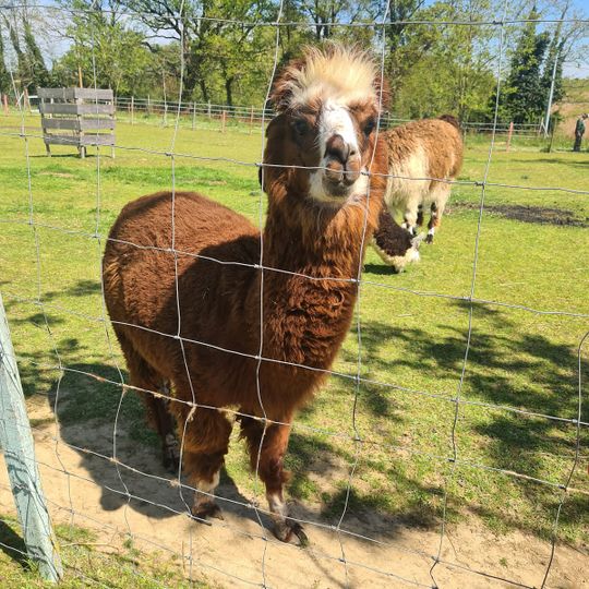 La Petite Ferme de Pouillon
