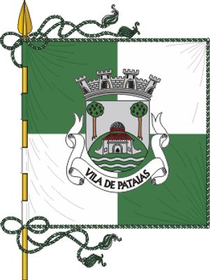Flag 1