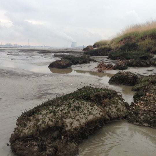 Verdronken Land van Saeftinghe