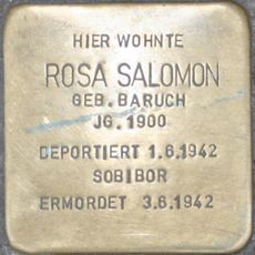 Rosa Salomon