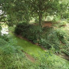 The Mount moated site