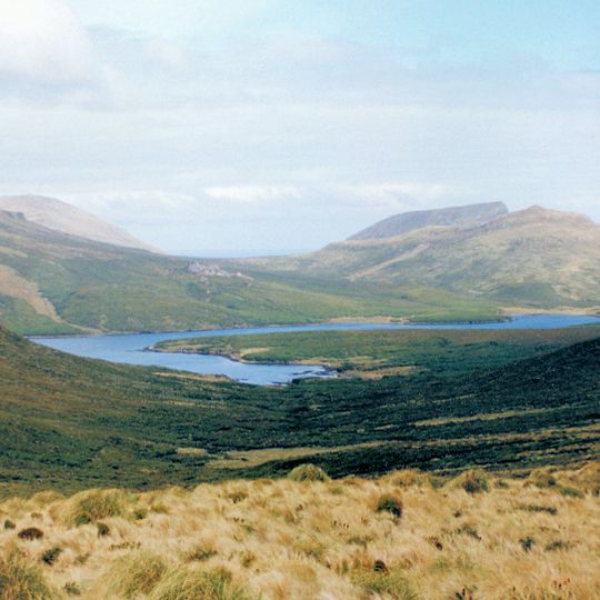 Campbell Island / Motu Ihupuku