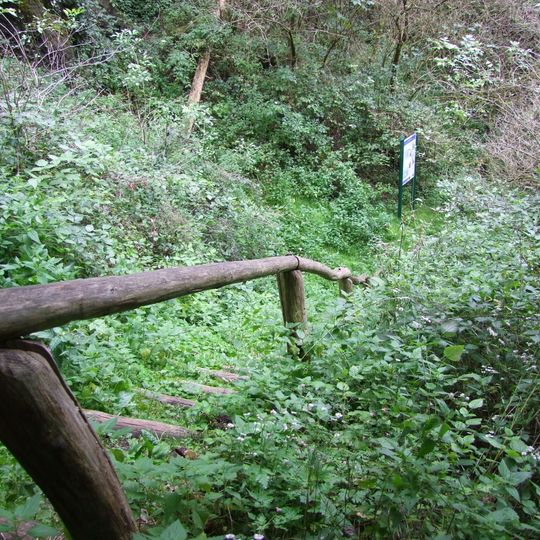 Olivinnephelinit im Strietwald SE von Kleinostheim