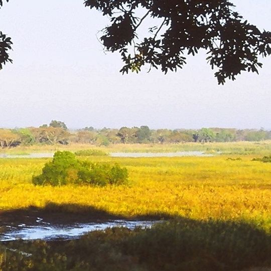 Parc national de Kasanka