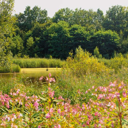Rastgebiete im mittleren Saartal