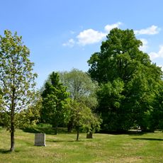 Svatohavelská lípa