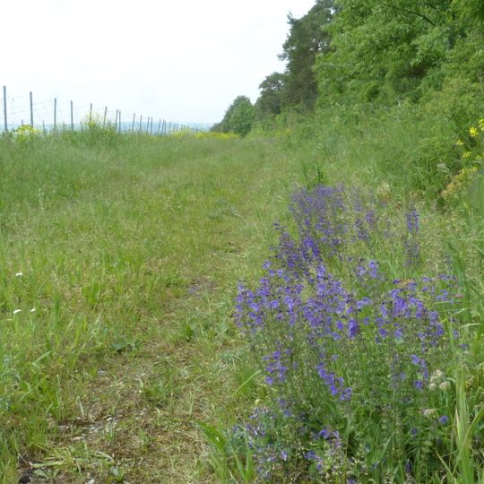 Magerstandorte bei Marktheidenfeld und Triefenstein
