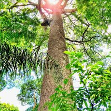 Parque Estadual da Assessoria de Referência Agrária