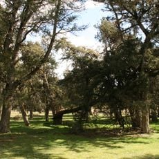 Sabinar de Calatañazor