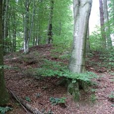 Hügelgräbergruppe in Mantscha