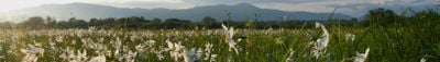 Pemandangan panorama 1