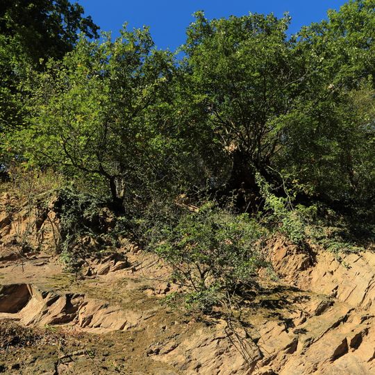 Steinbruch an der Herrnmühle ESE von Michelbach