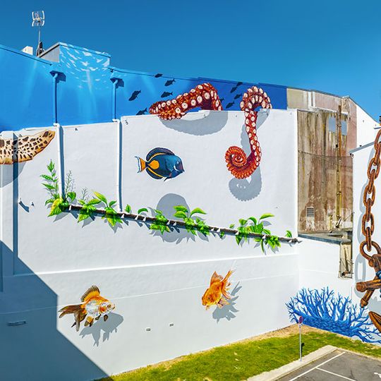 Vue immersive aquatique