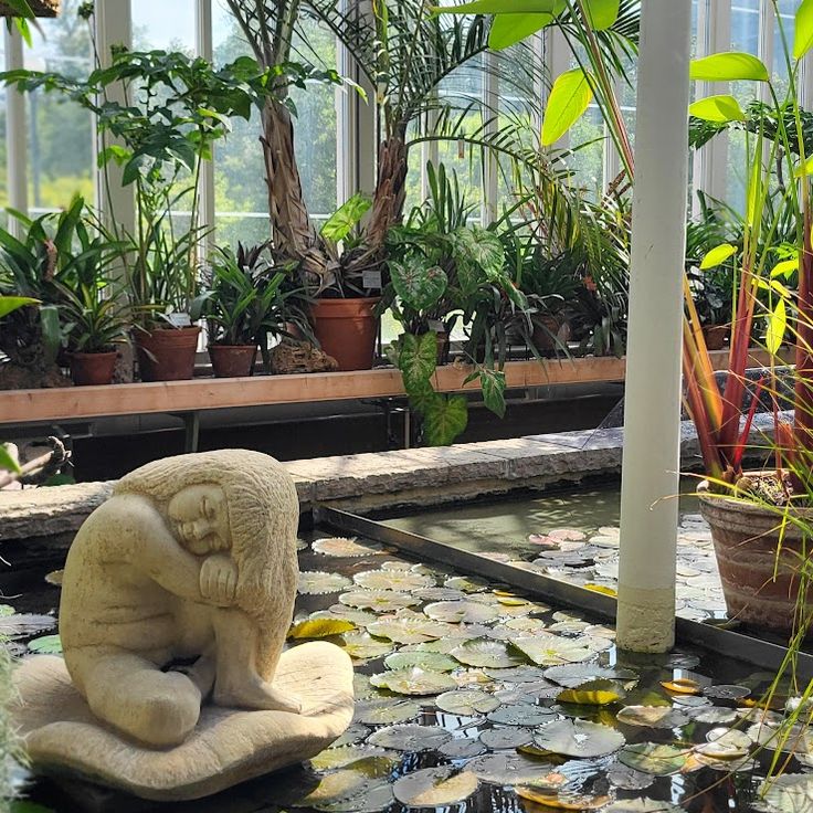 The sunken garden