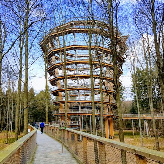 Baumwipfelpfad Steigerwald