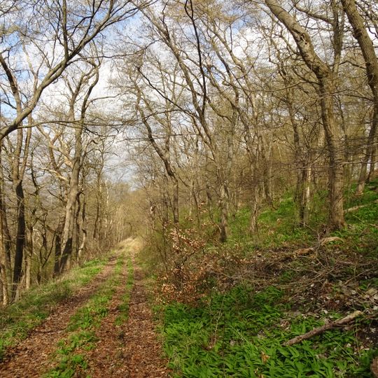 Sieben Berge und Vorberge