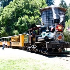 ロアリングキャンプ&ビッグツリー・ナローゲージ鉄道