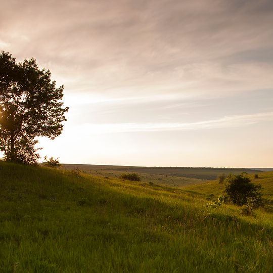 Chohodarivka municipality
