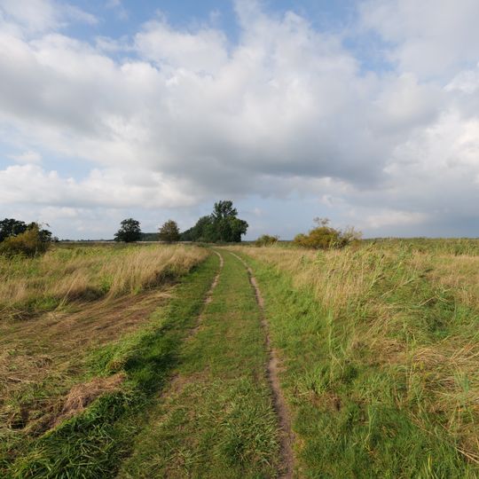 Boddenküste am Strelasund