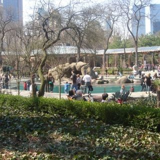 Zoo di Central Park