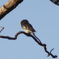 Parc national de Gugamal