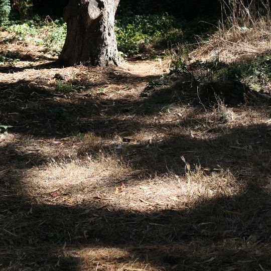 Broderick-Terry Dueling Place