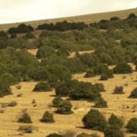 Reserva Natural del Acebal de Garagüeta