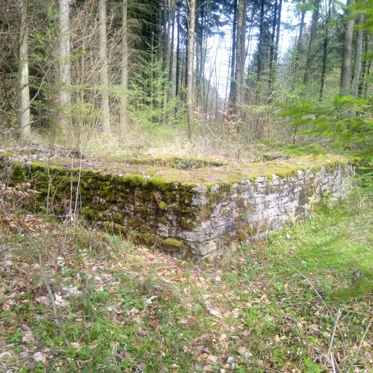 Rinschheimer Grenze watchtower