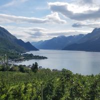 Ullensvang Municipality