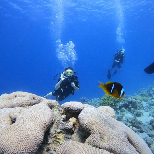 Aqaba International Dive Center