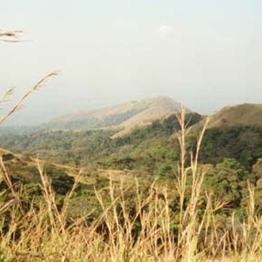 Monte Nimba