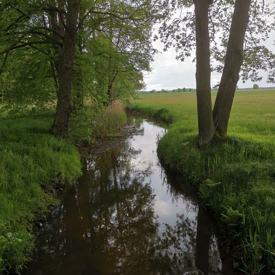 Saleskbachniederung unterhalb Grüngräbchen
