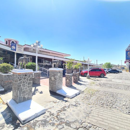 Los Milagros de Dalila