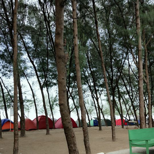 Pantai Mangrove Center Tuban