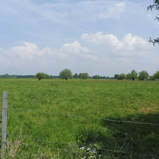 Lippeniederung V - Heitwinkel