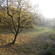 Réserve naturelle régionale du Molinet
