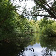 Naturschutzgebiet Taubensemd von Habitzheim, Semd und Groß-Umstadt