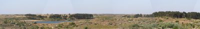 Panoramic View 1