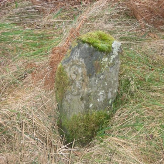 Milestone, Whinlatter Forest, between visitor centre & Braithwaite