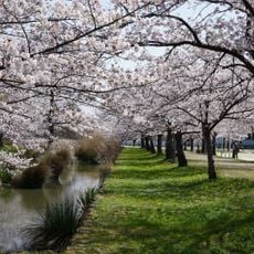 愛西市親水公園