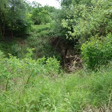 Fledermausstollen am Thülener Stein