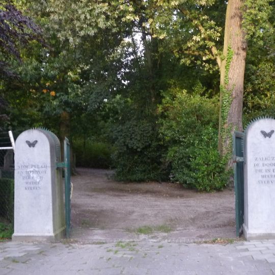 Noordelijke zij-ingang bestaande uit twee hardstenen pijlers met daartusen dubbele gegalvaniseerde draaihekken