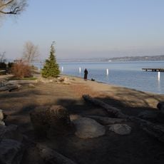 Madrona Park