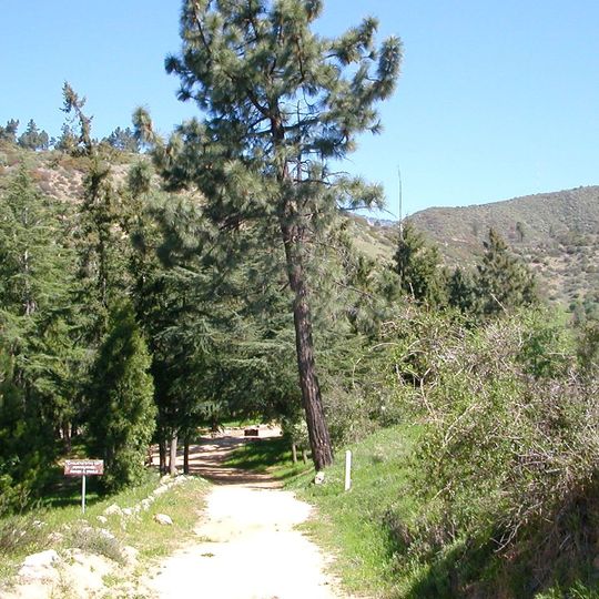 Henninger Flats