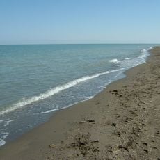 Uvs Nuur