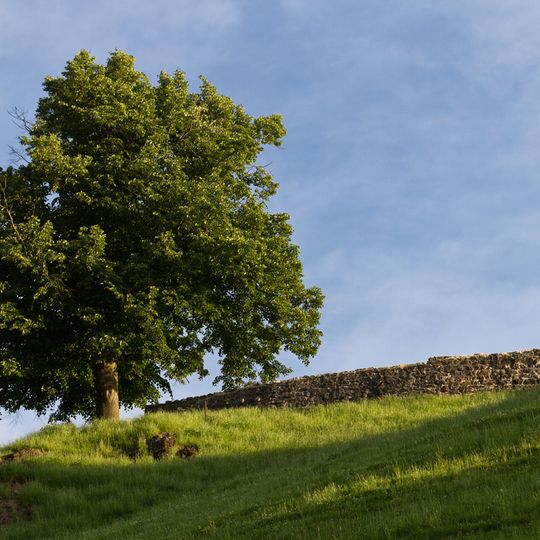 Rotzberg Castle ruin