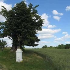 Boží muka u silnice Vysoká - Janova Ves