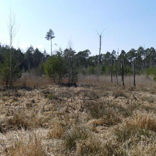 Rotter Forst und Rott