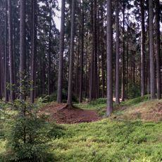 Barrows between Vlkov and Ševětín